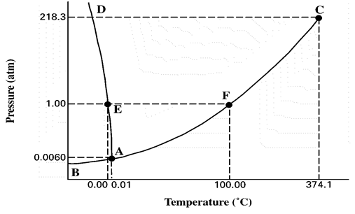 D
218.3
1.00
0.0060
B
0.00 0.01
100.00
374.1
Temperature (°C)
Pressure (atm)
