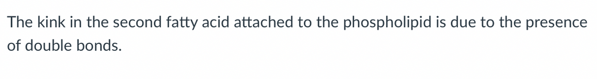 The kink in the second fatty acid attached to the phospholipid is due to the presence
of double bonds.
