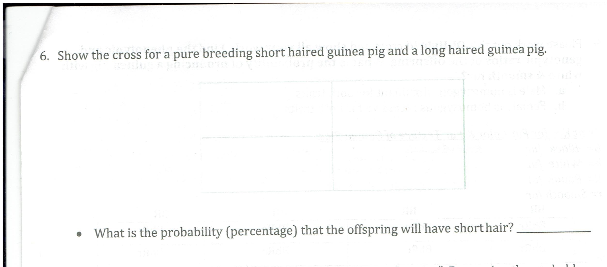 6. Show the cross for a pure breeding short haired guinea pig and a long haired guinea pig.
What is the probability (percentage) that the offspring will have shorthair?
