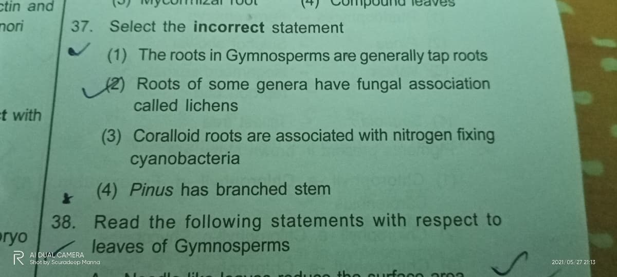 ctin and
nori
37. Select the incorrect statement
(1) The roots in Gymnosperms are generally tap roots
2) Roots of some genera have fungal association
called lichens
t with
(3) Coralloid roots are associated with nitrogen fixing
cyanobacteria
(4) Pinus has branched stem
38. Read the following statements with respect to
oryo
leaves of Gymnosperms
R AI DUAL CAMERA
Shot by Souradeep Manna
2021/05/27 21:13
Curfocoarna
