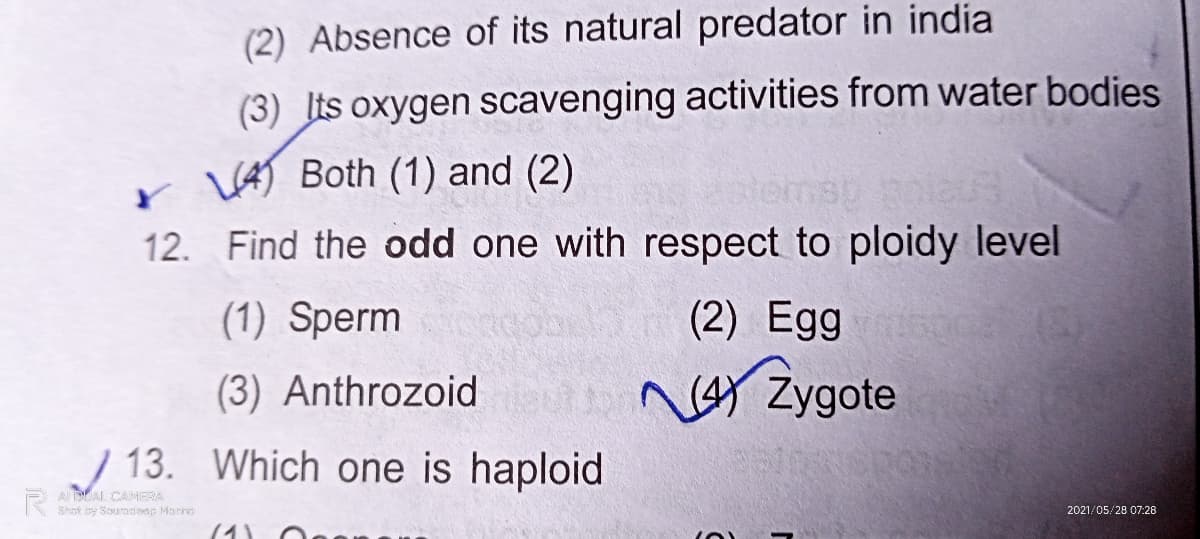 (2) Absence of its natural predator in india
(3) Its oxygen scavenging activities from water bodies
VAT Both (1) and (2)
12.
Find the odd one with respect to ploidy level
(1) Sperm
(2) Egg
(3) Anthrozoid
Ner Zygote
/ 13. Which one is haploid
AAL CAMERA
Shot by Sourndi bet p Marre
2021/05/28 07:28
(1)
