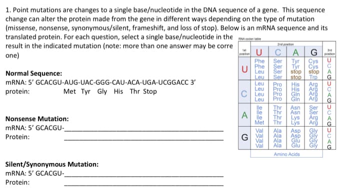 1. Point mutations are changes to a single base/nucleotide in the DNA sequence of a gene. This sequence
change can alter the protein made from the gene in different ways depending on the type of mutation
(missense, nonsense, synonymous/silent, frameshift, and loss of stop). Below is an mRNA sequence and its
translated protein. For each question, select a single base/nucleotide in the
result in the indicated mutation (note: more than one answer may be corre
table
one)
Normal Sequence:
mRNA: 5'
protein:
GCACGU-AUG-UAC-GGG-CAU-ACA-UGA-UCGGACC 3'
Met Tyr Gly His Thr Stop
Nonsense Mutation:
mRNA: 5' GCACGU-
Protein:
Silent/Synonymous Mutation:
mRNA: 5' GCACGU-
Protein:
position
U
A
2nd position
CA
U
Phe
Ser Tyr
Phe Ser
Tyr
Leu
Ser stop
Leu Ser stop
Leu Pro His
Leu
Pro
Leu
Leu
Pro
Pro
His
Gin
Gin
lle Thr Asn
lle Thr
Asn
lle Thr
Met Thr
Val Ala
G Val Ala
Val Ala
Val
Ala
Lys
Lýs
3rd
Gostion
Cys
Cys
stop
Trp
Arg
Arg
Arg
Arg
Ser
Ser
Arg
Arg
Gly
Gly
Asp
Asp
Glu Gly
Glu
Gly
Amino Acids
DADADADAG
U
C
А
U
с
А
U
C
А
U
с
А
