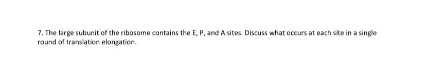 7. The large subunit of the ribosome contains the E, P, and A sites. Discuss what occurs at each site in a single
round of translation elongation.