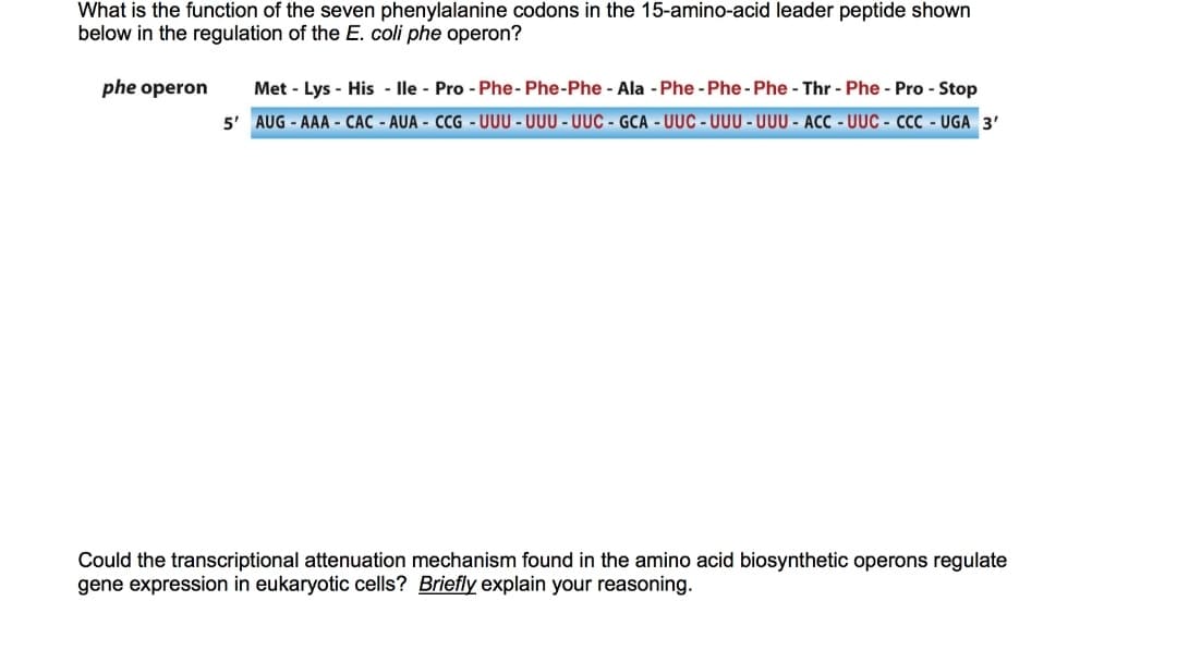 What is the function of the seven phenylalanine codons in the 15-amino-acid leader peptide shown
below in the regulation of the E. coli phe operon?
phe operon
Met - Lys - His - lle - Pro - Phe- Phe-Phe - Ala - Phe - Phe - Phe - Thr - Phe - Pro - Stop
5' AUG - AAA - CÁC - AUA - CCG - UUU - UUU - UUC - GCA - UUC - UUU - UUU - ACC - UUC - CCC - UGA 3'
Could the transcriptional attenuation mechanism found in the amino acid biosynthetic operons regulate
gene expression in eukaryotic cells? Briefly explain your reasoning.
