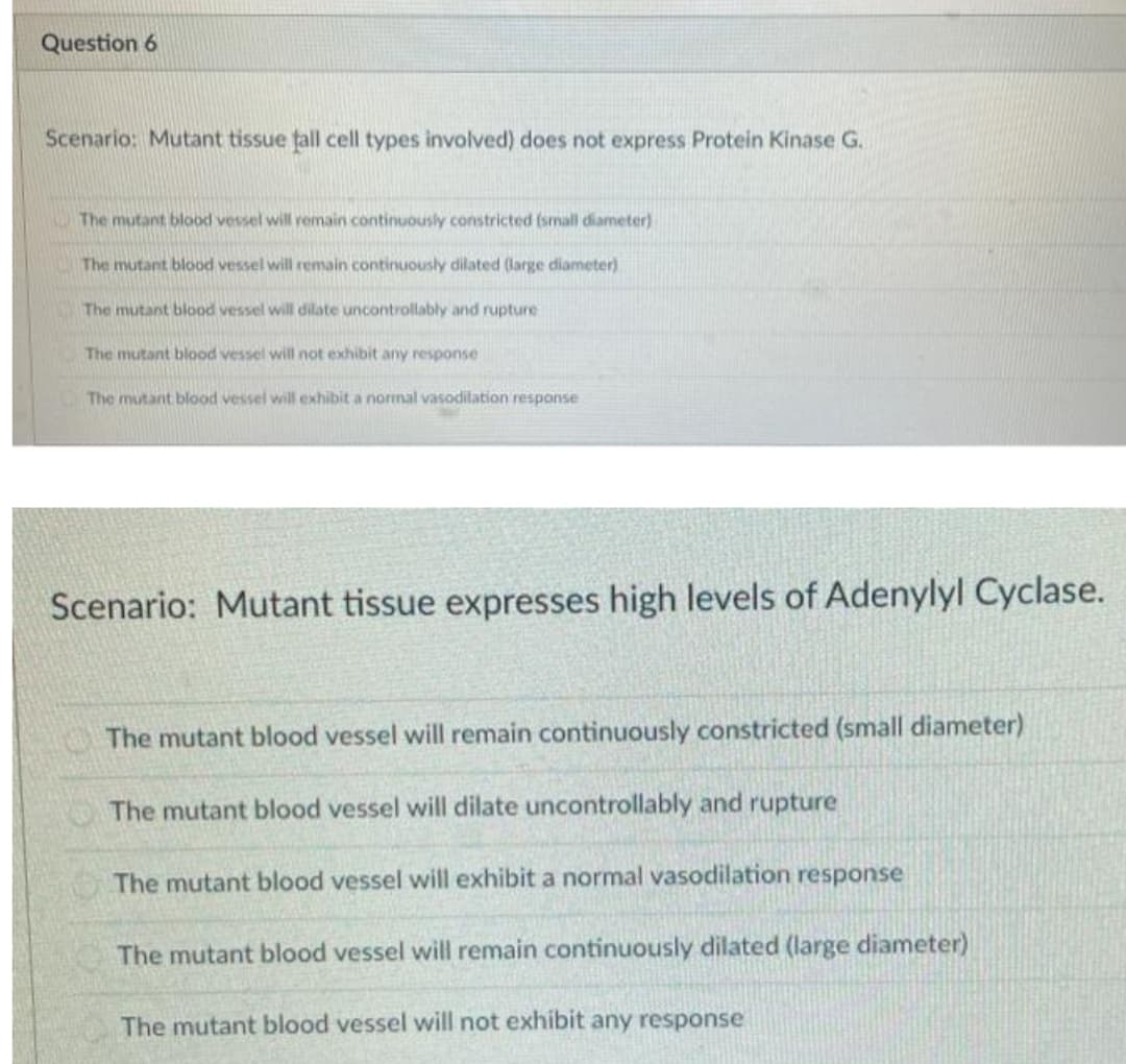 Question 6
Scenario: Mutant tissue țall cell types involved) does not express Protein Kinase G.
K The mutant blood vessel will remain continuously constricted (small diameter)
The mutant blood vessel will remain continuously dilated (large diameter)
The mutant blood vessel will dilate uncontrollably and rupture
The mutant blood vessel will not exhibit any response
The mutant blood vessel will exhibit a normal vasodilation response
Scenario: Mutant tissue expresses high levels of Adenylyl Cyclase.
The mutant blood vessel will remain continuously constricted (small diameter)
The mutant blood vessel will dilate uncontrollably and rupture
The mutant blood vessel will exhibit a normal vasodilation response
The mutant blood vessel will remain continuously dilated (large diameter)
The mutant blood vessel will not exhibit any response

