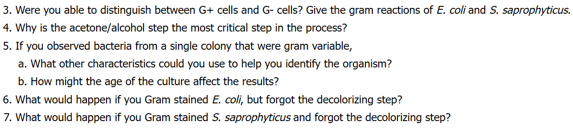 3. Were you able to distinguish between G+ cells and G- cells? Give the gram reactions of E. coli and S. saprophyticus.
4. Why is the acetone/alcohol step the most critical step in the process?
5. If you observed bacteria from a single colony that were gram variable,
a. What other characteristics could you use to help you identify the organism?
b. How might the age of the culture affect the results?
6. What would happen if you Gram stained E. coli, but forgot the decolorizing step?
7. What would happen if you Gram stained S. saprophyticus and forgot the decolorizing step?