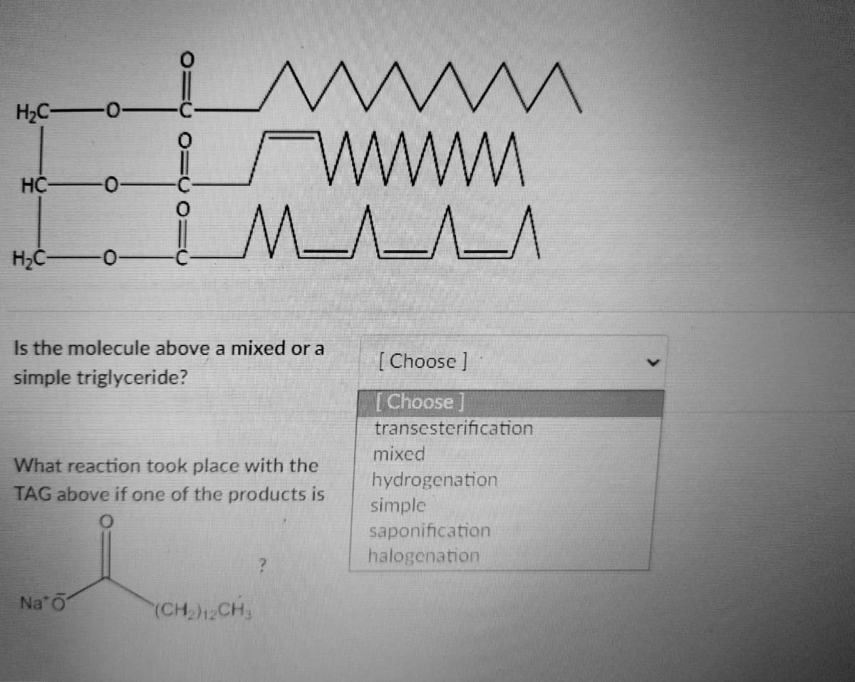 H₂C—0
HC
-0
H₂C 0-
=0 =0
Na
0
www.
M^___^___^
Is the molecule above a mixed or a
simple triglyceride?
What reaction took place with the
TAG above if one of the products is
(CH₂)2CH3
[Choose]
[Choose ]
transesterification
mixed
hydrogenation
simple
saponification
halogenation