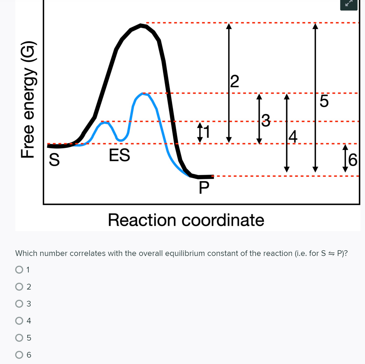 4
ES
16
P
Reaction coordinate
Which number correlates with the overall equilibrium constant of the reaction (i.e. for S – P)?
O 1
O 2
4
6
Free energy (G)
3.
