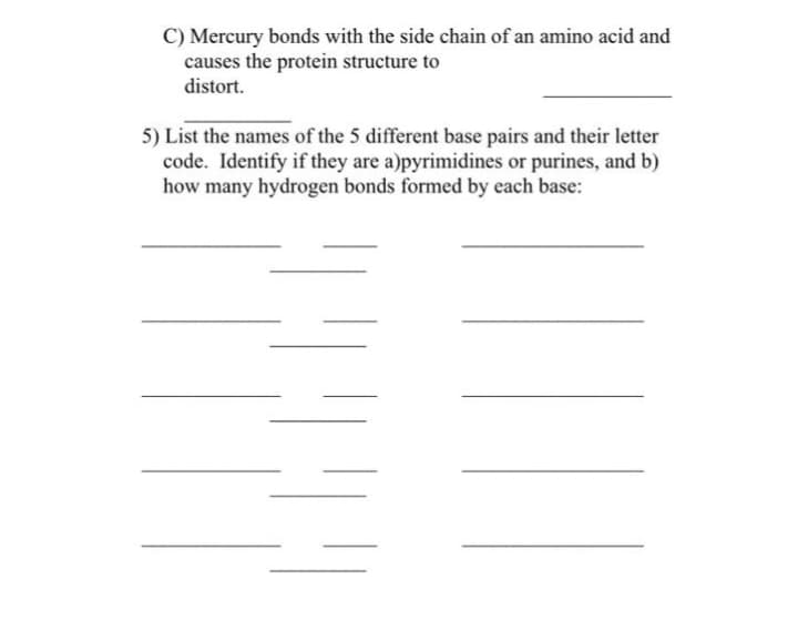 C) Mercury bonds with the side chain of an amino acid and
causes the protein structure to
distort.
5) List the names of the 5 different base pairs and their letter
code. Identify if they are a)pyrimidines or purines, and b)
how many hydrogen bonds formed by each base:
