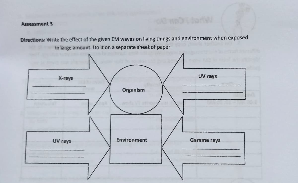 Assessment 3
Directions: Write the effect of the given EM waves on living things and environment when exposed
in large amount. Do it on a separate sheet of paper.
UV rays
X-rays
Organism
Environment
Gamma rays
UV rays
