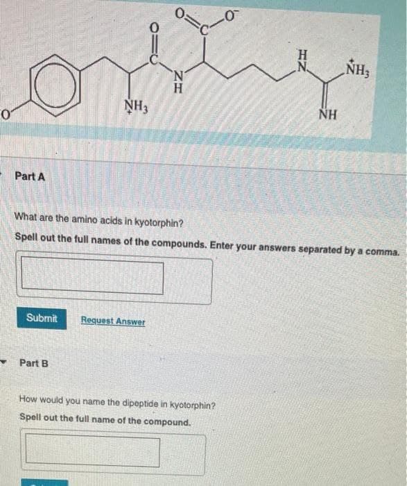 H
N.
NH3
'N'
NH3
NH
Part A
What are the amino acids in kyotorphin?
Spell out the full names of the compounds. Enter your answers separated by a comma.
Submit
Request Answer
Part B
How would you name the dipeptide in kyotorphin?
Spell out the full name of the compound.
