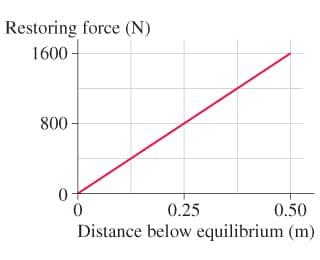 Restoring force (N)
1600 -
800
0.25
0.50
Distance below equilibrium (m)
