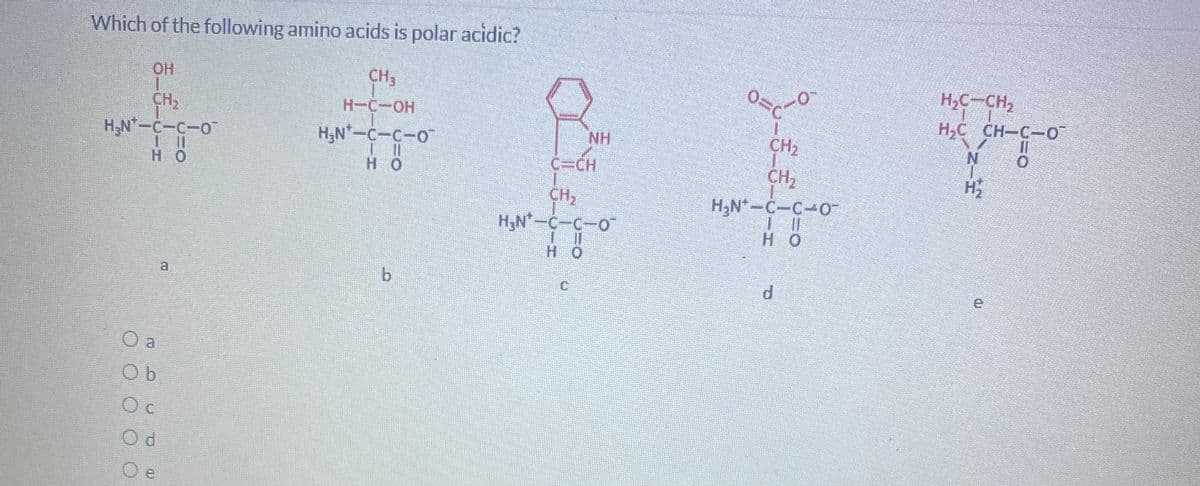 Which of the following amino acids is polar acidic?
OH
CH3
CH,
H-C-OH
H,C CH-C-0
NH
H-N-C-C-0
H,N-C-C-O
H O
но
C=CH
CH2
CH,
H3N*-C-C-O-
H,N-C-C-o
H O
H O
a
b.
C.
e
O a
O b
O d
O e
