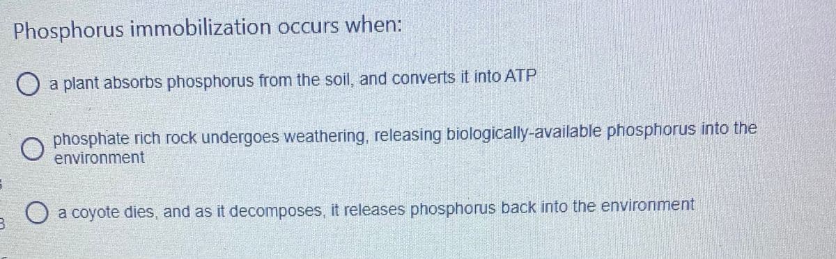 Phosphorus immobilization occurs when:
O a plant absorbs phosphorus from the soil, and converts it into ATP
phosphate rich rock undergoes weathering, releasing biologically-available phosphorus into the
environment
O a coyote dies, and as it decomposes, it releases phosphorus back into the environment
