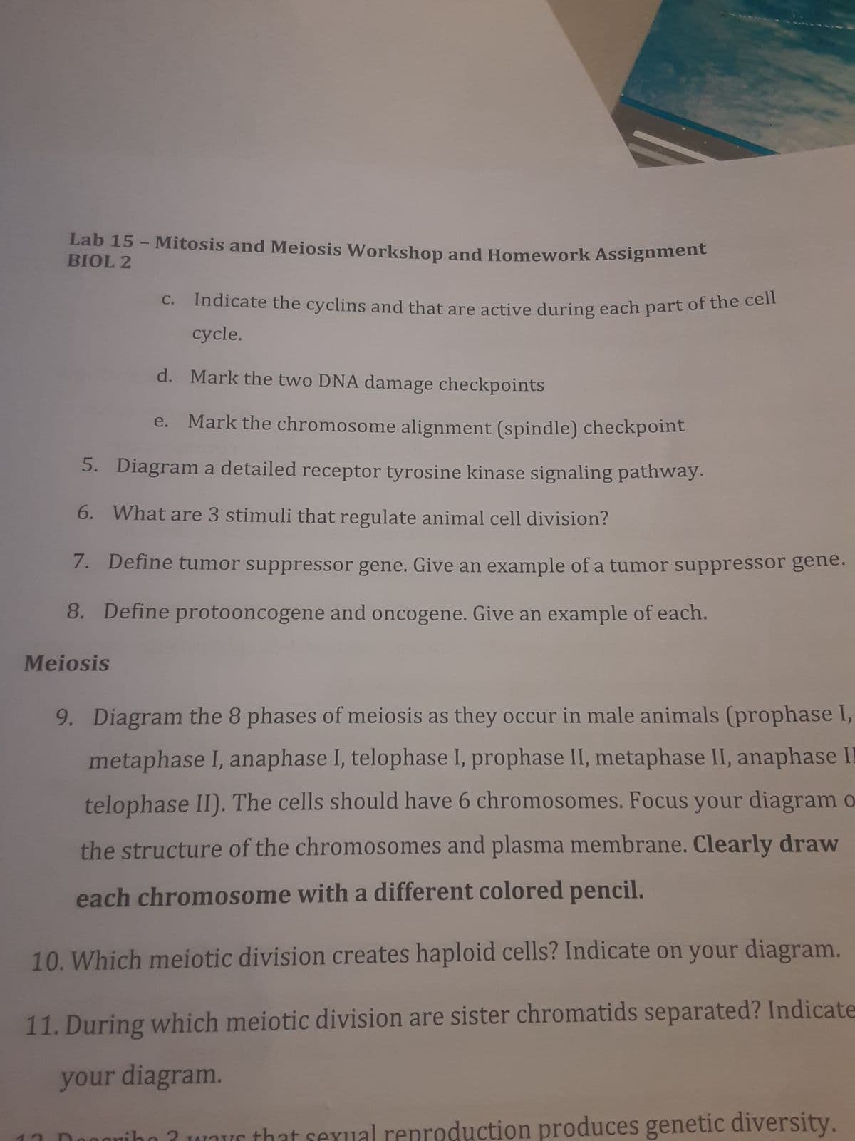 Lab 15 - Mitosis and Meiosis Workshop and Homework Assignment
BIOL 2
Indicate the cyclins and that are active during each part of the cell
cycle.
d. Mark the two DNA damage checkpoints
e. Mark the chromosome alignment (spindle) checkpoint
Diagram a detailed receptor tyrosine kinase signaling pathway.
What are 3 stimuli that regulate animal cell division?
7.
Define tumor suppressor gene. Give an example of a tumor suppressor gene.
8. Define protooncogene and oncogene. Give an example of each.
5.
6.
Meiosis
9. Diagram the 8 phases of meiosis as they occur in male animals (prophase I,
metaphase I, anaphase I, telophase I, prophase II, metaphase II, anaphase II
telophase II). The cells should have 6 chromosomes. Focus your diagram o
the structure of the chromosomes and plasma membrane. Clearly draw
each chromosome with a different colored pencil.
10. Which meiotic division creates haploid cells? Indicate on your diagram.
11. During which meiotic division are sister chromatids separated? Indicate
your diagram.
ways that sexual reproduction produces genetic diversity.