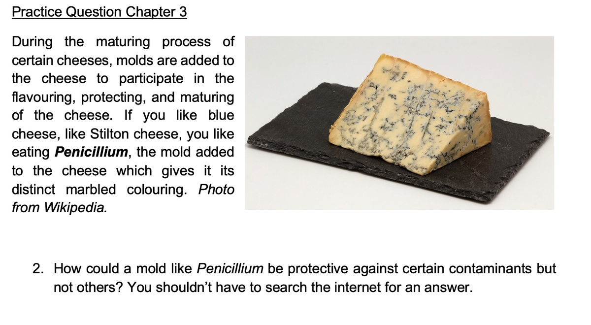 Practice Question Chapter 3
During the maturing process of
certain cheeses, molds are added to
the cheese to participate in the
flavouring, protecting, and maturing
of the cheese. If you like blue
cheese, like Stilton cheese,
eating Penicillium, the mold added
to the cheese which gives it its
distinct marbled colouring. Photo
from Wikipedia.
you
like
2. How could a mold like Penicillium be protective against certain contaminants but
not others? You shouldn't have to search the internet for an answer.
