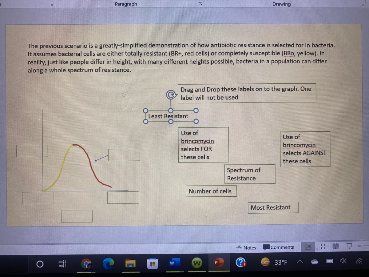 Paragraph
Drawing
The previous scenario is a greatly-simplified demonstration of how antibiotic resistance is selected for in bacteria.
It assumes bacterial cells are either totally resistant (BR+, red cells) or completely susceptible (BRo, yellow). In
reality, just like people differ in height, with many different heights possible, bacteria in a population can differ
along a whole spectrum of resistance.
Drag and Drop these labels on to the graph. One
label will not be used
Least Resistant
Use of
Use of
brincomycin
selects AGAINST
brincomycin
selects FOR
these cells
these cells
Spectrum of
Resistance
Number of cells
Most Resistant
Notes
Comments
33°F
