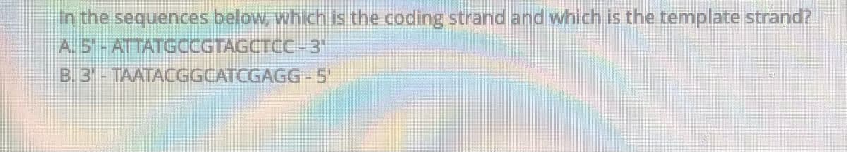 In the sequences below, which is the coding strand and which is the template strand?
A. 5 - ATTATGCCGTAGCTCC - 3
B. 3 - TAATACGGCATCGAGG - 5'
