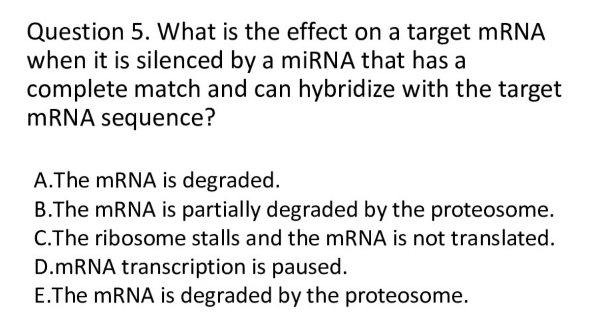 Question 5. What is the effect on a target mRNA
when it is silenced by a miRNA that has a
complete match and can hybridize with the target
mRNA sequence?
A.The mRNA is degraded.
B.The mRNA is partially degraded by the proteosome.
C.The ribosome stalls and the mRNA is not translated.
D.mRNA transcription is paused.
E.The mRNA is degraded by the proteosome.