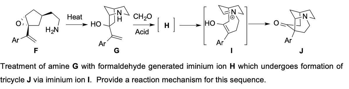 -N-
CH20
Heat
-N-
НО
H
HO
H2N
Acid
Ar
Ar
Ar
Ar
F
Treatment of amine G with formaldehyde generated iminium ion H which undergoes formation of
tricycle J via iminium ion I. Provide a reaction mechanism for this sequence.
