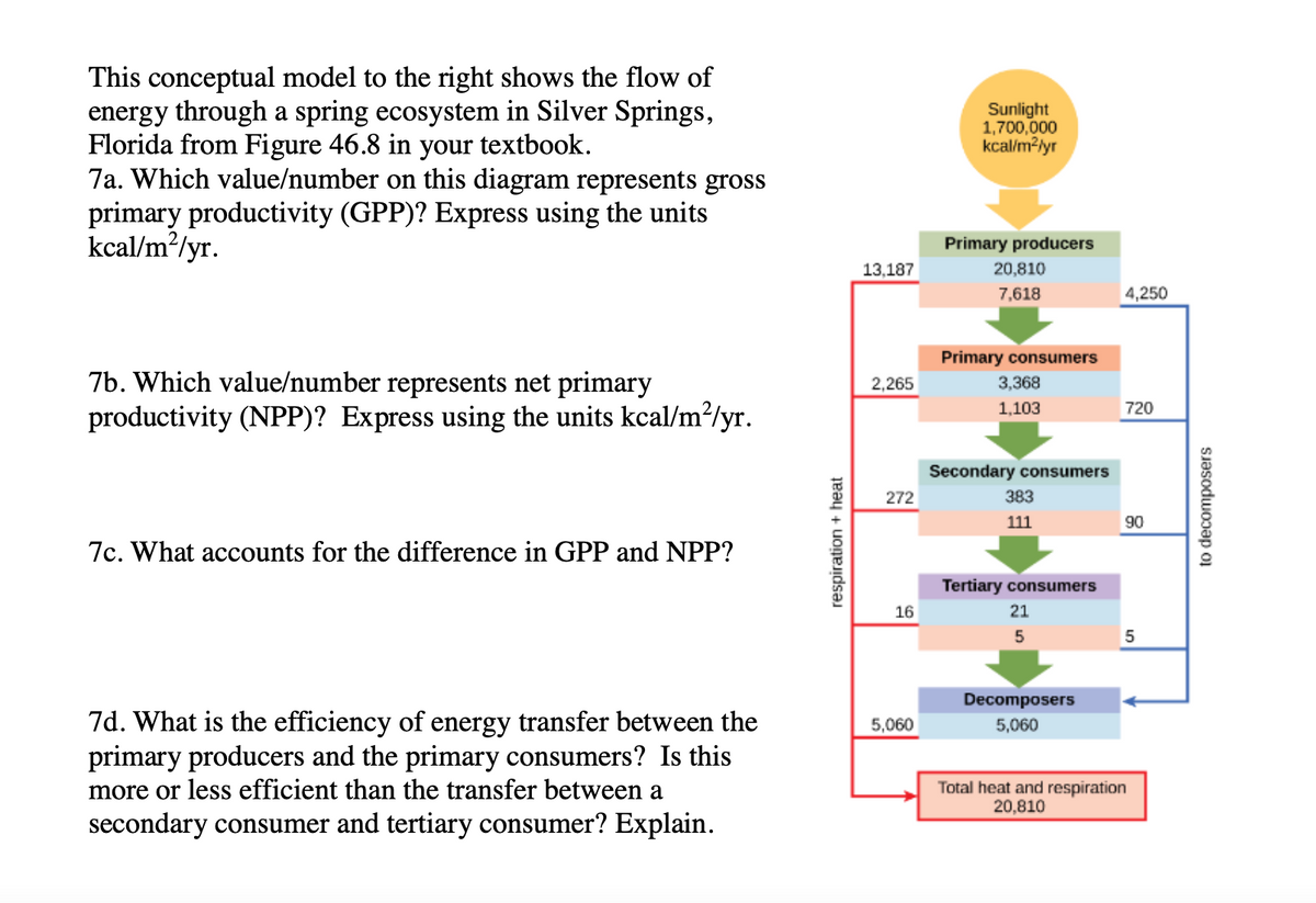 This conceptual model to the right shows the flow of
energy through a spring ecosystem in Silver Springs,
Florida from Figure 46.8 in your textbook.
7a. Which value/number on this diagram represents gross
primary productivity (GPP)? Express using the units
kcal/m?/yr.
Sunlight
1,700,000
kcalim?lyr
Primary producers
13,187
20,810
7,618
4,250
Primary consumers
7b. Which value/number represents net primary
productivity (NPP)? Express using the units kcal/m?/yr.
2,265
3,368
1,103
720
Secondary consumers
272
383
111
90
7c. What accounts for the difference in GPP and NPP?
Tertiary consumers
16
21
5
Decomposers
7d. What is the efficiency of energy transfer between the
primary producers and the primary consumers? Is this
more or less efficient than the transfer between a
5,060
5,060
Total heat and respiration
20,810
secondary consumer and tertiary consumer? Explain.
respiration + heat
to decomposers
