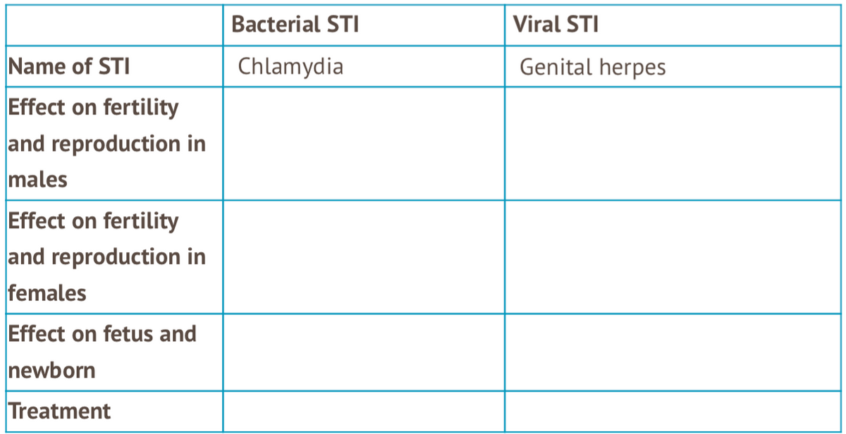 Bacterial STI
Viral STI
Name of STI
Chlamydia
Genital herpes
Effect on fertility
and reproduction in
males
Effect on fertility
and reproduction in
females
Effect on fetus and
newborn
Treatment
