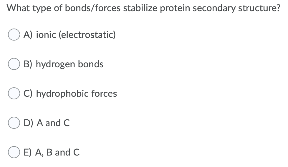 What type of bonds/forces stabilize protein secondary structure?
A) ionic (electrostatic)
B) hydrogen bonds
C) hydrophobic forces
D) A and C
O E) A, B and C
