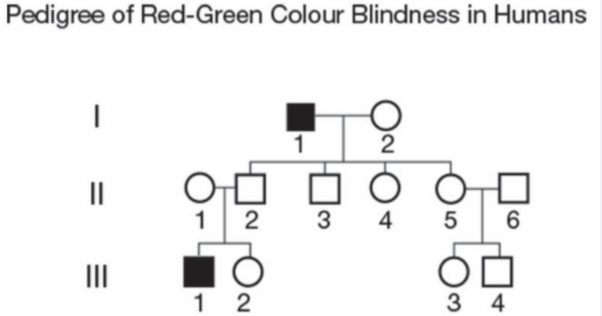 Pedigree of Red-Green Colour Blindness in Humans
|
1
2
||
1
3
4
6.
II
1 2
3 4
2.
