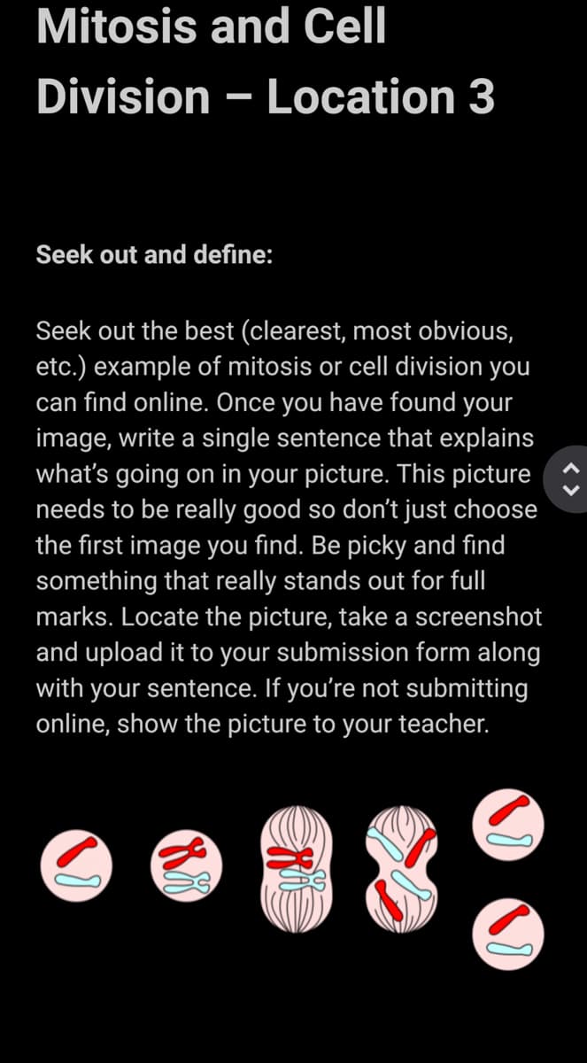 Mitosis and Cell
Division – Location 3
Seek out and define:
Seek out the best (clearest, most obvious,
etc.) example of mitosis or cell division you
can find online. Once you have found your
image, write a single sentence that explains
what's going on in your picture. This picture
needs to be really good so don't just choose
the first image you find. Be picky and find
something that really stands out for full
marks. Locate the picture, take a screenshot
and upload it to your submission form along
with your sentence. If you're not submitting
online, show the picture to your teacher.
