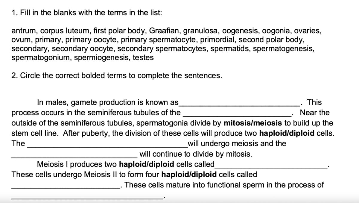 1. Fill in the blanks with the terms in the list:
antrum, corpus luteum, first polar body, Graafian, granulosa, oogenesis, oogonia, ovaries,
ovum, primary, primary oocyte, primary spermatocyte, primordial, second polar body,
secondary, secondary oocyte, secondary spermatocytes, spermatids, spermatogenesis,
spermatogonium, spermiogenesis, testes
2. Circle the correct bolded terms to complete the sentences.
In males, gamete production is known as
This
process occurs in the seminiferous tubules of the
outside of the seminiferous tubules, spermatogonia divide by mitosis/meiosis to build up the
stem cell line. After puberty, the division of these cells will produce two haploid/diploid cells.
Near the
The
_will undergo meiosis and the
will continue to divide by mitosis.
Meiosis I produces two haploid/diploid cells called
These cells undergo Meiosis Il to form four haploid/diploid cells called
These cells mature into functional sperm in the process of
