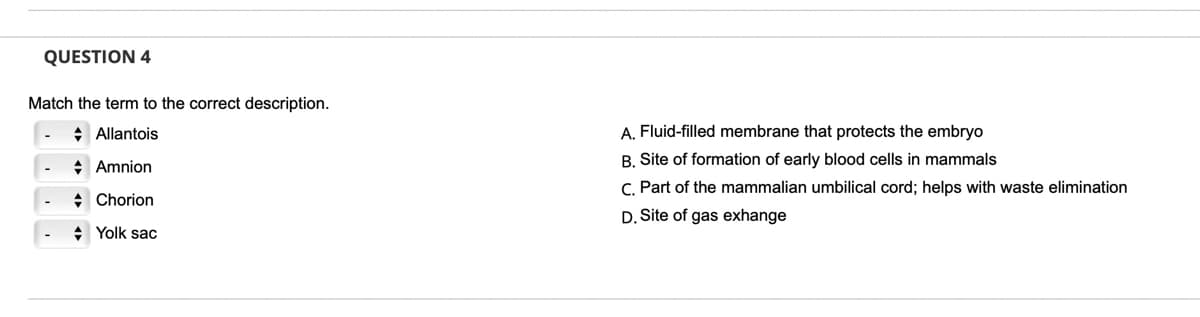 QUESTION 4
Match the term to the correct description.
+ Allantois
A. Fluid-filled membrane that protects the embryo
: Amnion
B. Site of formation of early blood cells in mammals
C. Part of the mammalian umbilical cord; helps with waste elimination
* Chorion
D. Site of gas exhange
+ Yolk sac

