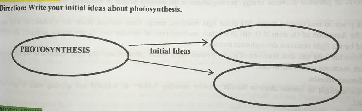 Direction: Write your initial ideas about photosynthesis.
mot ers
PHOTOSYNTHESIS
Initial Ideas
MOTIVA
