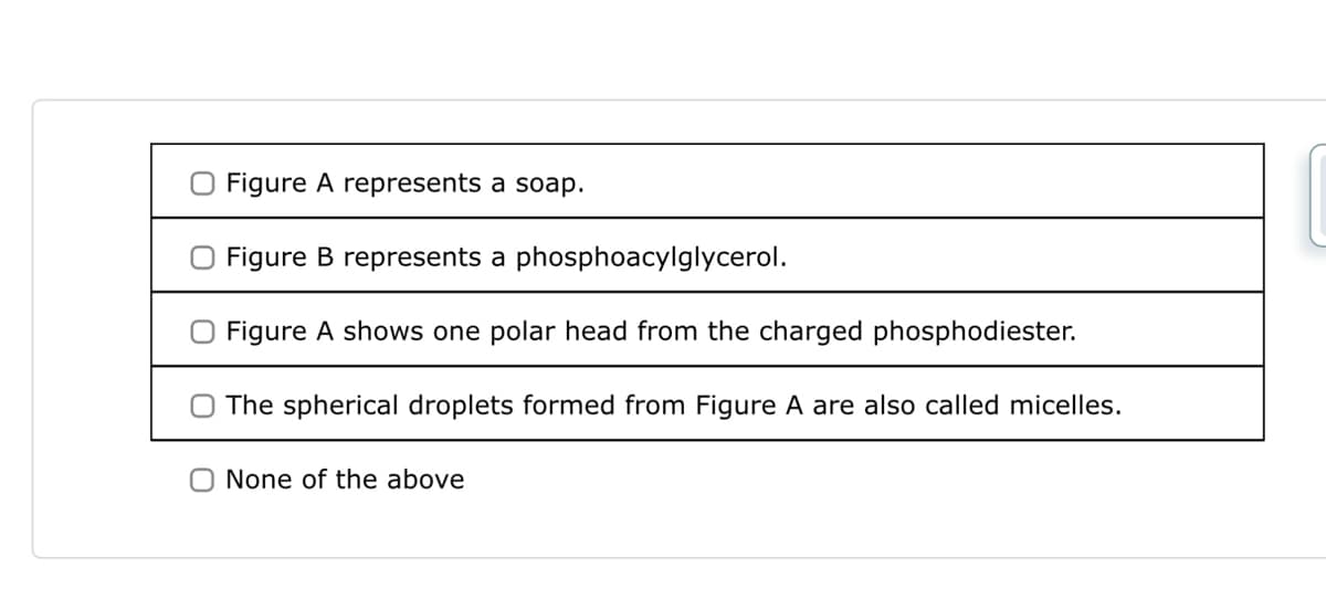 Figure A represents a soap.
Figure B represents a phosphoacylglycerol.
O Figure A shows one polar head from the charged phosphodiester.
The spherical droplets formed from Figure A are also called micelles.
None of the above