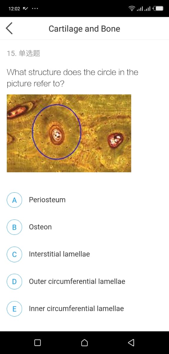 12:02
Clו.nl
Cartilage and Bone
15. 单选题
What structure does the circle in the
picture refer to?
A
Periosteum
В
Osteon
C
Interstitial lamellae
D
Outer circumferential lamellae
E
Inner circumferential lamellae
