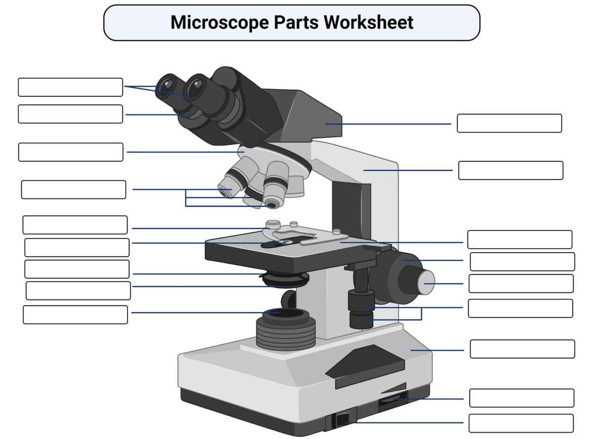 Microscope Parts Worksheet
