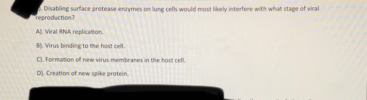 . Disabling surface protease enzymes on lung cells would most likely interfere with what stage of viral
reproduction?
A). Viral RNA replication.
B). Virus binding to the host cell.
C). Formation of new virus membranes in the host cell.
D). Creation of new spike protein.
