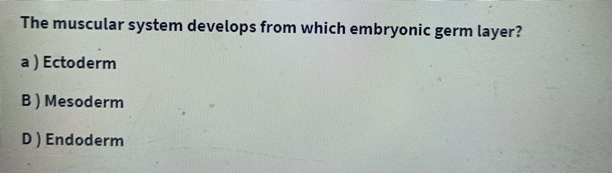 The muscular system develops from which embryonic germ layer?
a) Ectoderm
B) Mesoderm
D) Endoderm