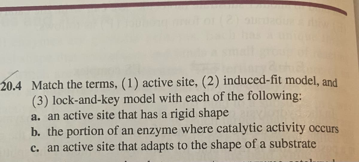 (2)
20.4 Match the terms, (1) active site, (2) induced-fit model, and
(3) lock-and-key model with each of the following:
a. an active site that has a rigid shape
b. the portion of an enzyme where catalytic activity occurs
c. an active site that adapts to the shape of a substrate
