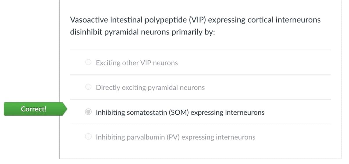 Correct!
Vasoactive intestinal polypeptide (VIP) expressing cortical interneurons
disinhibit pyramidal neurons primarily by:
Exciting other VIP neurons
Directly exciting pyramidal neurons
Inhibiting somatostatin (SOM) expressing interneurons
Inhibiting parvalbumin (PV) expressing interneurons