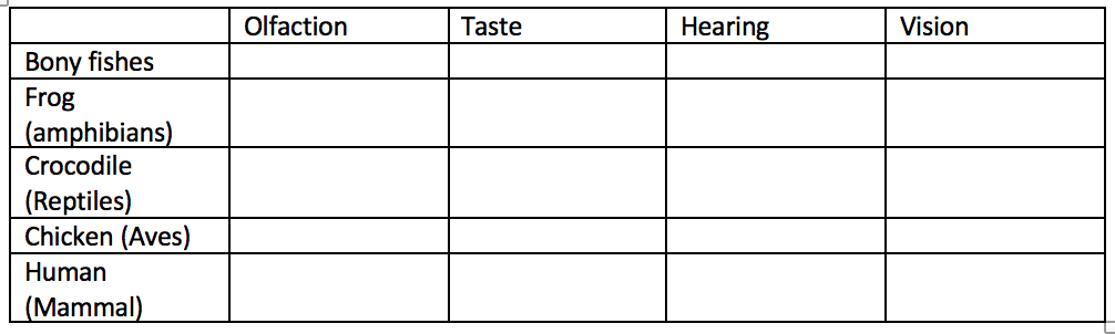 Olfaction
Taste
Hearing
Vision
Bony fishes
Frog
(amphibians)
Crocodile
(Reptiles)
Chicken (Aves).
Human
(Mammal)
