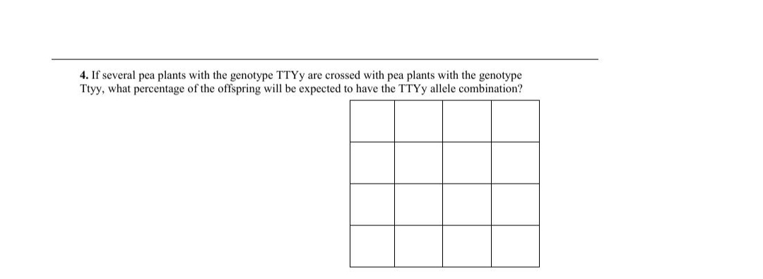 4. If several pea plants with the genotype TTYY are crossed with pea plants with the genotype
Ttyy, what percentage of the offspring will be expected to have the TTYY allele combination?
