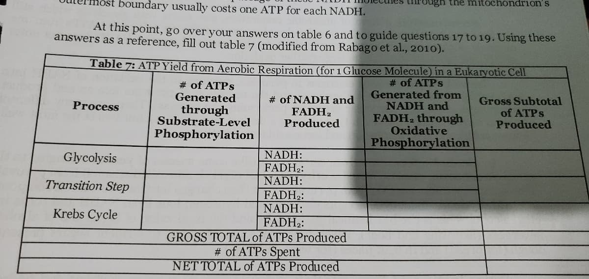 boundary usually costs one ATP for each NADH.
through the mitochondrion's
At this point, go over your answers on table 6 and to guide questions 17 to 19. Using these
answers as a reference, fill out table 7 (modified from Rabago et al., 2010).
Table 7: ATP Yield from Aerobic Respiration (for 1 Glucose Molecule) in a Eukaryotic Cell
# of ATPS
Generated
through
Substrate-Level
Phosphorylation
# of ATPS
Generated from
NADH and
FADH2 through
Oxidative
Phosphorylation
# of NADH and
FADH2
Produced
Gross Subtotal
of ATPS
Produced
Process
Glycolysis
NADH:
FADH2:
Transition Step
NADH:
FADH2:
NADH:
Krebs Cycle
FADH2:
GROSS TOTAL of ATPS Produced
# of ATPS Spent
NET TOTAL of ATPS Produced
