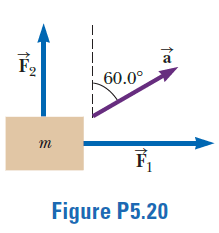 a
F2
60.0°
m
Figure P5.20
