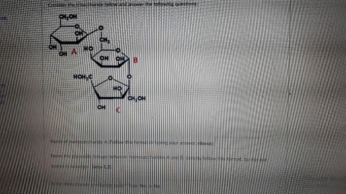 saccharide belowand answerthe following questions:
CHOH
HOH,C
CH, OH
OH
Name of monhosaccharide AI FOlowhe
Name the glycosidic linkag betw
monosa
spaces in bctwoonbeta-i2
Is the trisaccharide aredcingE
