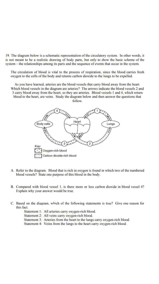 19. The diagram below is a schematic representation of the circulatory system. In other words, it
is not meant to be a realistic drawing of body parts, but only to show the basic scheme of the
system – the relationships among its parts and the sequence of events that occur in the system.
The circulation of blood is vital to the process of respiration, since the blood carries fresh
oxygen to the cells of the body and returns carbon dioxide to the lungs to be expelled.
As you have learned, arteries are the blood vessels that carry blood away from the heart.
Which blood vessels in the diagram are arteries? The arrows indicate the blood vessels 2 and
3 carry blood away from the heart, so they are arteries. Blood vessels 1 and 4, which return
blood to the heart, are veins. Study the diagram below and then answer the questions that
follow.
Heart
Body cells
Lungs
Key:
Oxygen-rich blood
Carbon dioxide-rich blood
A. Refer to the diagram. Blood that is rich in oxygen is found in which two of the numbered
blood vessels? State one purpose of this blood in the body.
B. Compared with blood vessel 1, is there more or less carbon dioxide in blood vessel 4?
Explain why your answer would be true.
C. Based on the diagram, which of the following statements is true? Give one reason for
this fact.
Statement 1: All arteries carry oxygen-rich blood.
Statement 2: All veins carry oxygen-rich blood.
Statement 3: Arteries from the heart to the lungs carry oxygen-rich blood.
Statement 4: Veins from the lungs to the heart carry oxygen-rich blood.
