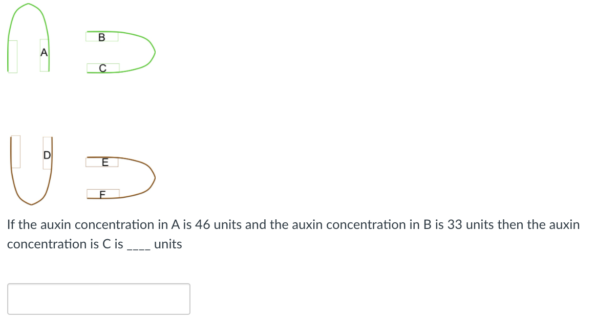 В
А
E
If the auxin concentration in A is 46 units and the auxin concentration in B is 33 units then the auxin
concentration is C is
units
----
