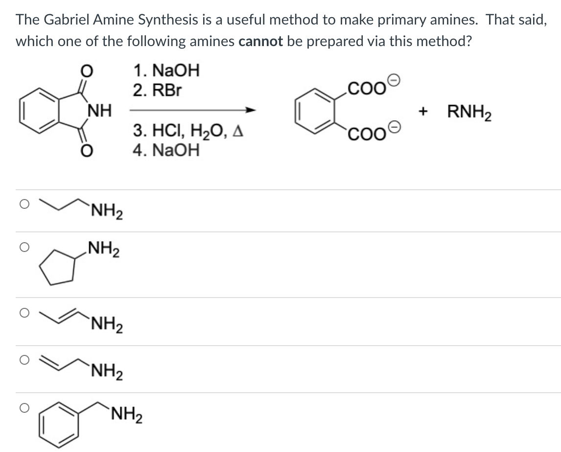 The Gabriel Amine Synthesis is a useful method to make primary amines. That said,
which one of the following amines cannot be prepared via this method?
1. NaOH
2. RBr
NH
3. НСІ, Н,О, Д
+
RNH2
4. NaOH
`NH2
NH2
`NH2
`NH2
`NH2
