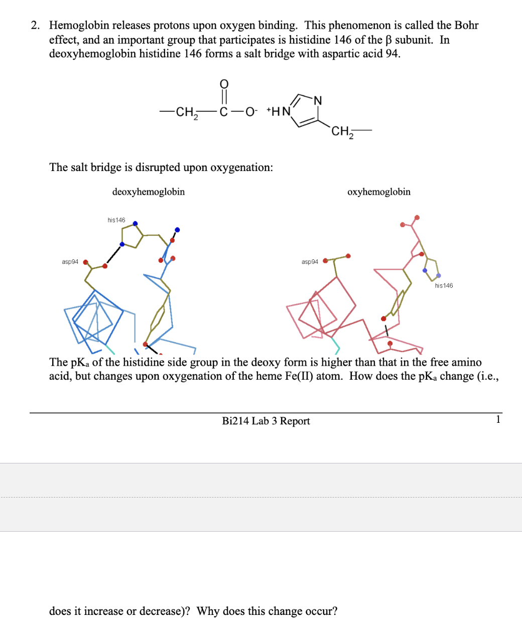 2. Hemoglobin releases protons upon oxygen binding. This phenomenon is called the Bohr
effect, and an important group that participates is histidine 146 of the B subunit. In
deoxyhemoglobin histidine 146 forms a salt bridge with aspartic acid 94.
CH
'N.
C-O- *HN
`CH,
The salt bridge is disrupted upon oxygenation:
deoxyhemoglobin
oxyhemoglobin
his146
asp94
asp94
his146
The pKa of the histidine side group in the deoxy form is higher than that in the free amino
acid, but changes upon oxygenation of the heme Fe(II) atom. How does the pKạ change (i.e.,
Bi214 Lab 3 Report
1
does it increase or decrease)? Why does this change occur?
