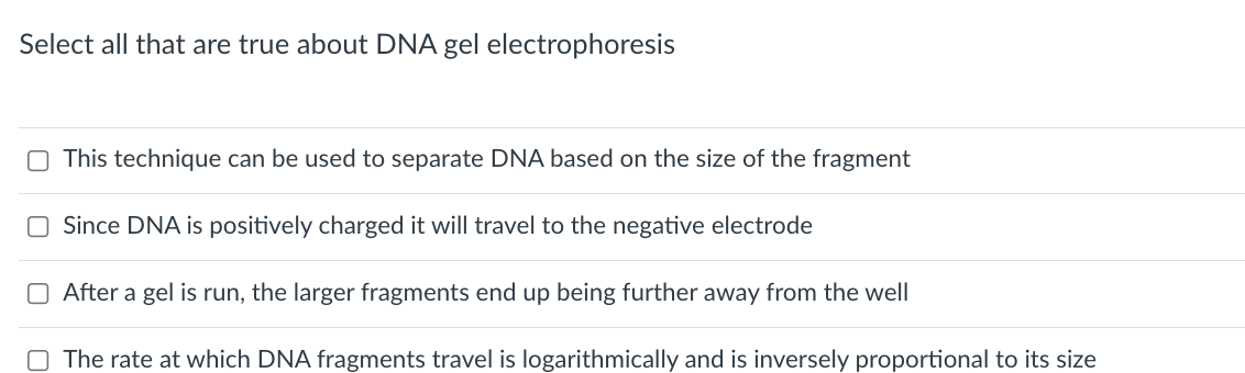 Select all that are true about DNA gel electrophoresis
O This technique can be used to separate DNA based on the size of the fragment
O Since DNA is positively charged it will travel to the negative electrode
O After a gel is run, the larger fragments end up being further away from the well
The rate at which DNA fragments travel is logarithmically and is inversely proportional to its size
