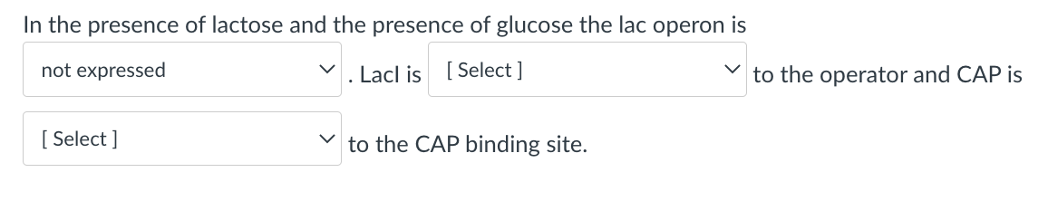 In the presence of lactose and the presence of glucose the lac operon is
not expressed
. Lacl is [ Select ]
to the operator and CAP is
[ Select ]
to the CAP binding site.
